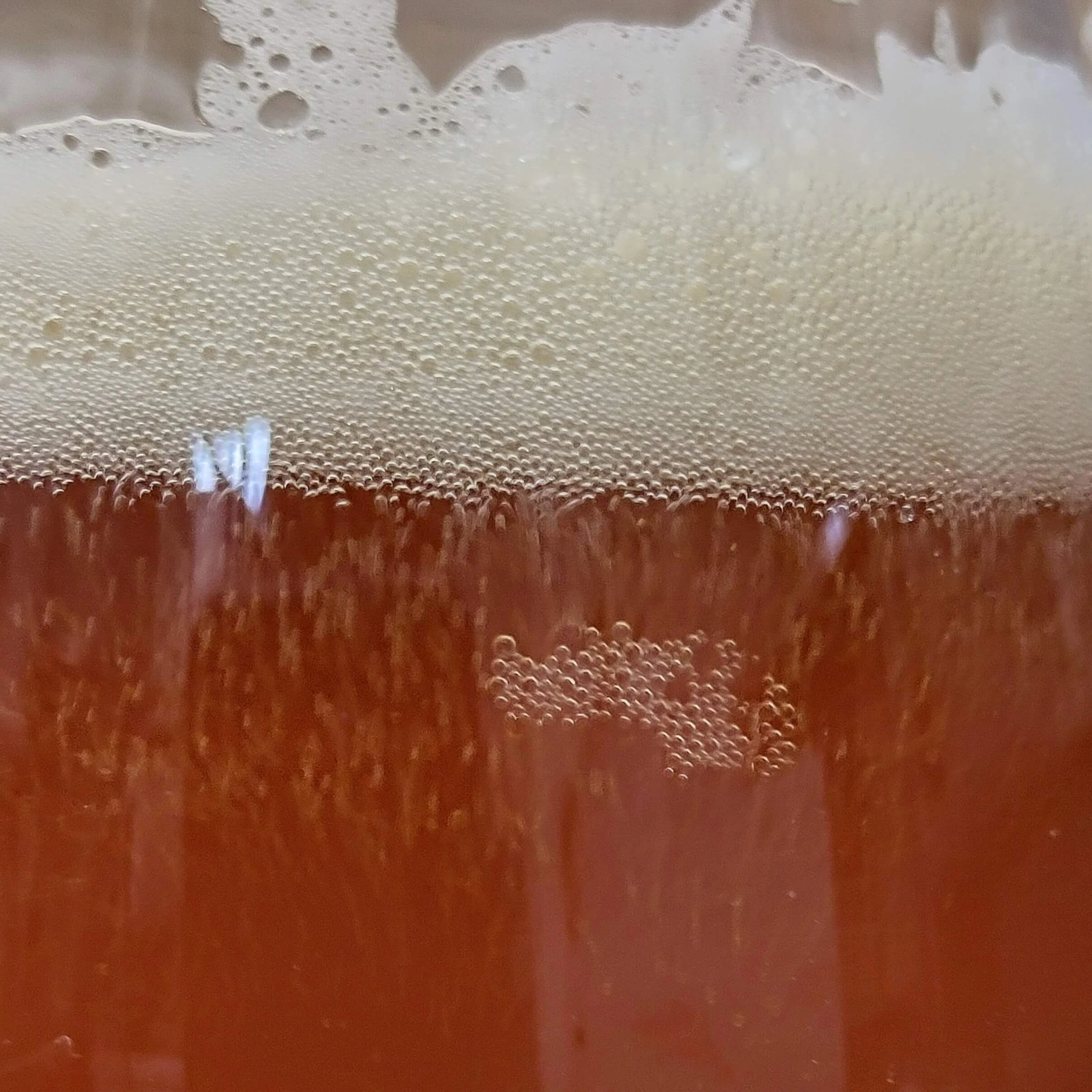 Entdecke das einzigartige Pale Ale