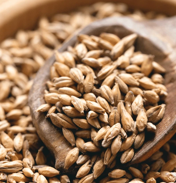 Die Kunst des Bierbrauens mit traditionellen Methoden