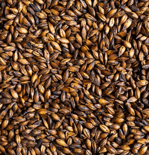 Entdecke das Dunkle von Bergisches Bräu