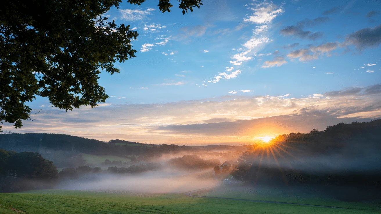 Bergisches Bräu - Handwerkskunst aus der Region